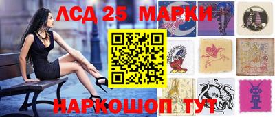 spice Моздок