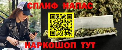 spice Моздок