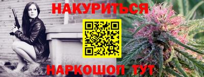spice Моздок