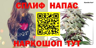 первитин Можга