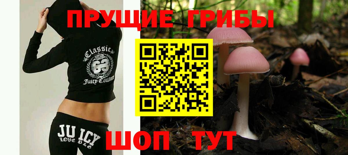 что такое наркотик  Вход с VPN  Галлюциногенные грибы Psilocybine cubensis  Шадринск  Галлюциногенные грибы Psilocybe 